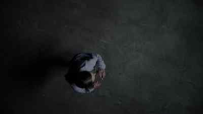 Do you think
it's going to work? - The Americans