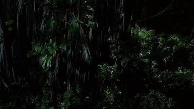 Do you think it's gone?
Are we safe? - Lost