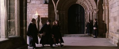 Do you think it's true - Harry Potter and the Chamber of Secrets