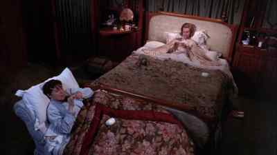 Do you think he likes it here?
Friend in two? - Girly
