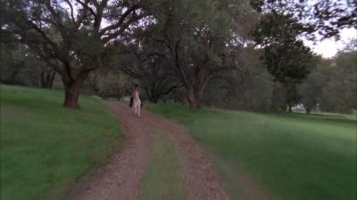 Do you think we lost them? - Chuck