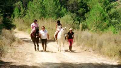 Do you think these horses
have got a bigger arse
than I have? - Love Island