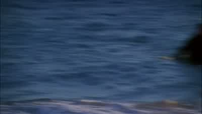 Do you think they'll find it? - NCIS