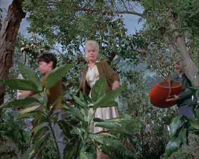 Do you think
this will burn?
I don't know. - Land of the Giants