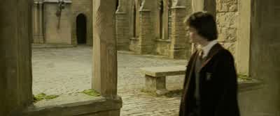 Do you think we'll ever just have a quiet year at Hogwarts? - Harry Potter and the Goblet of Fire