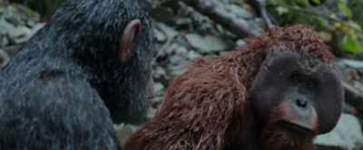 Do you think they will
give him the message? - War for the Planet of the Apes