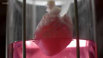 Do you think, within our lifetimes,
we will see - The Human Body: Secrets of Your Life Revealed