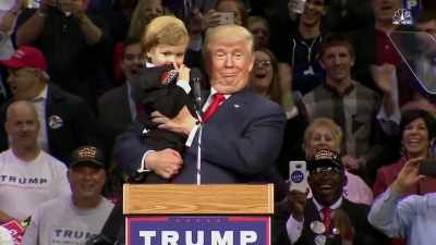 Do you wanna go back to them, - Trump: The Art of the Insult