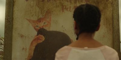 Do you want a cat - The Girl with All the Gifts