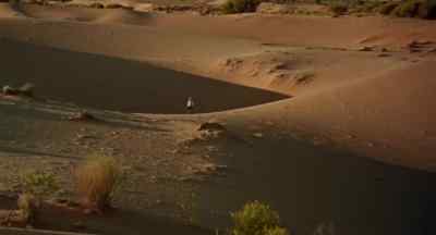 Do you want a drink? - Walkabout