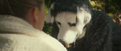 Do you want to kill him?
-Yes, you have to. - Good Boy