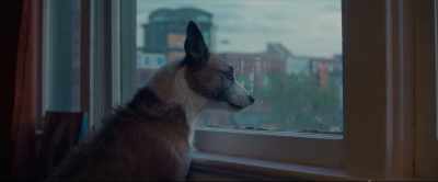 Do you want to play? - Puppy Love