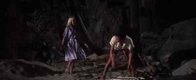 Do you want some help? - Blue Hawaii