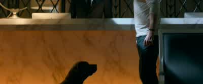 Do you board? - John Wick: Chapter 2