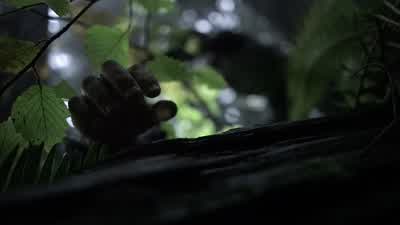 Do you even know what this island really is? - Arrow