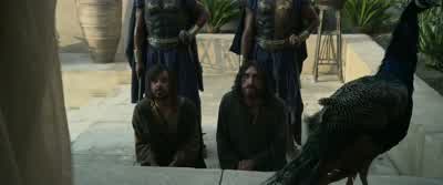 Do you expect a reward for this information? - Exodus: Gods and Kings