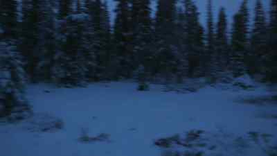 DO YOU HEAR THAT?
I'VE GOT SOMETHING OVER THERE. - The Last Alaskans