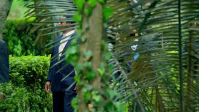 - Do you hear that? - Narcos