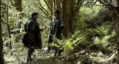 Do you like berries? - The Lobster