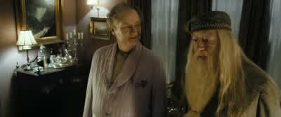 Do you mind if I use the loo?- No, of course. - Harry Potter and the Half Blood Prince