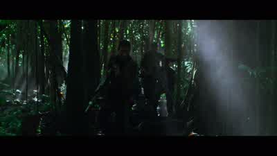 Do you remember a plane? - Predators