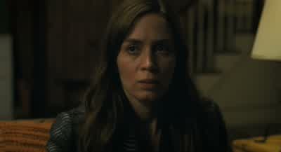 Do you remember seeing this woman? - The Girl on the Train