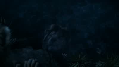 Do you see him? - The Lion King