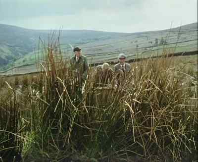 Do you... Shh! - Last of the Summer Wine