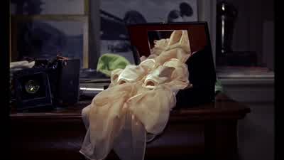 Do you tell your landlord everything? - Rear Window
