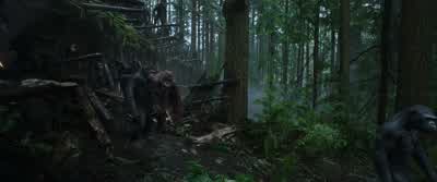 Do you think they will give him the message? - War for the Planet of the Apes