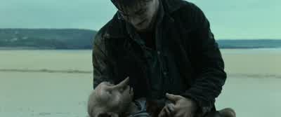 Dobby is happy to be with his friend... - Harry Potter and the Deathly Hallows: Part 1