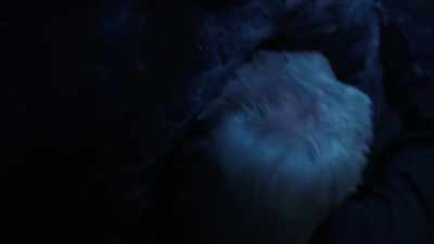 - Doc! Doc, help! - Creepshow