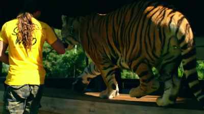 DOC: This is the animal
extremists' false narrative - Trafficked with Mariana van Zeller