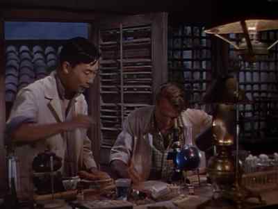 Doctor, you must rest.
For thirty hours you have not slept. - The Story of Dr. Wassell