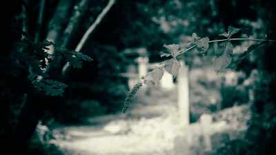 Doctors are supposed
to save lives. - 35 Serial Killers the World Wants to Forget