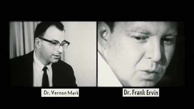 Doctors Vernon Mark and Frank Ervin were emerging stars - The Minds of Men