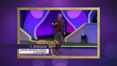 Dodger,
a German Shepherd mix, - 2022 American Rescue Dog Show