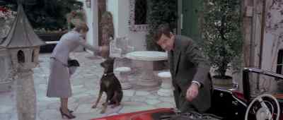 - Does he bite?
- Oh! - Hopscotch