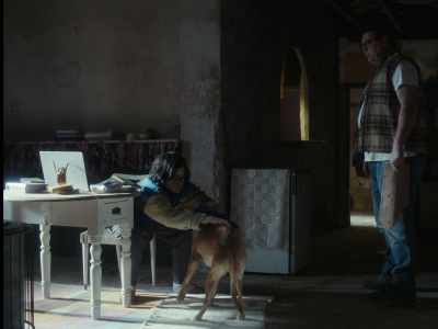 - Does this dog not bark or what?
- Yes, when he wants to. - Un amor