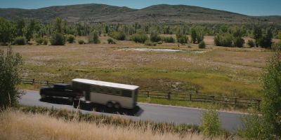 Does it hurt? - Yellowstone