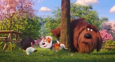 No No no no - The Secret Life of Pets 2