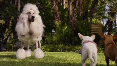 No no no no no - Beverly Hills Chihuahua 2