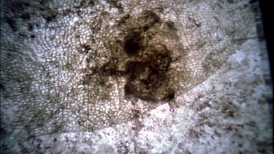 Does this look like blood
to you? - CSI: Crime Scene Investigation