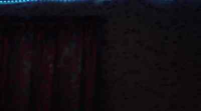 Does it look like he's been here? - Hostel: Part III