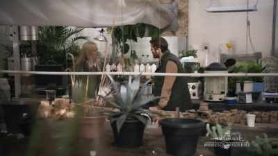 Does that mean that you have
tested the vineyard soil before? - Chronicle Mysteries: Vines that Bind