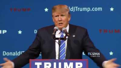 Does not have the
temperament to be president. - Trump: The Art of the Insult