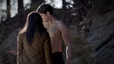 Does it say anything about
the hunter's purpose in all this? - The Vampire Diaries