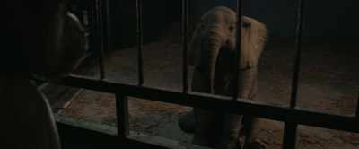 Does the baby elephant get to be free - The One and Only Ivan
