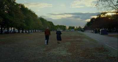 Does the dog have a name? - Fallen Leaves