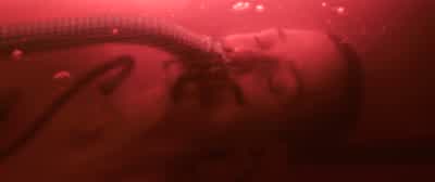 Does Trinity still have to take the red pill? - The Matrix Resurrections